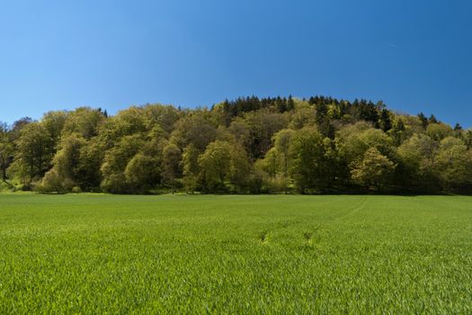 On the Altmuehltal Panorama Trail in Germany