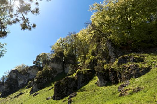 On the Altmuehltal Panorama Trail in Germany