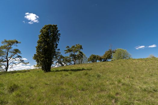 On the Altmuehltal Panorama Trail in Germany