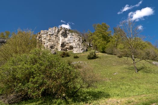 On the Altmuehltal Panorama Trail in Germany