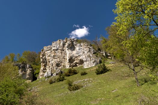 On the Altmuehltal Panorama Trail in Germany