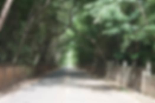 Abstract blur background of green arch, corridor with sunny in park.