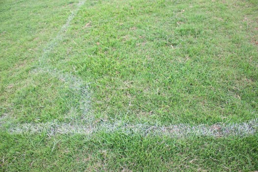 Turf soccer field green grass and white lines.