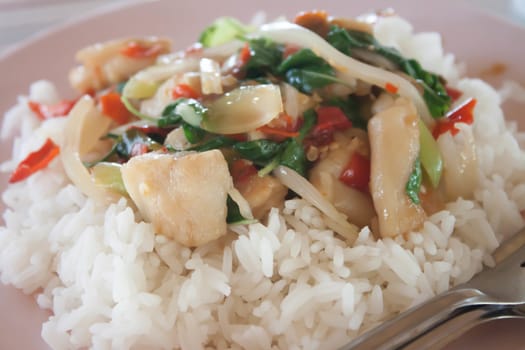 Snapper and spicy basil rice.