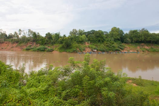 Riverine forest in Thailand