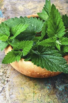 Wooden bowl with cut branches with leaves of a medicinal plant, lemon balm