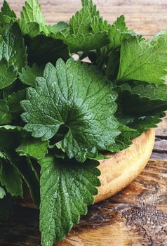 Wooden bowl with cut branches with leaves of a medicinal plant, lemon balm