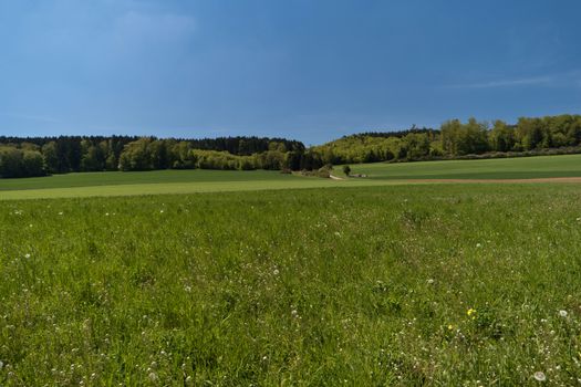 On the Altmuehltal Panorama Trail in Germany