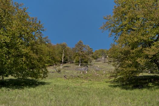 On the Altmuehltal Panorama Trail in Germany