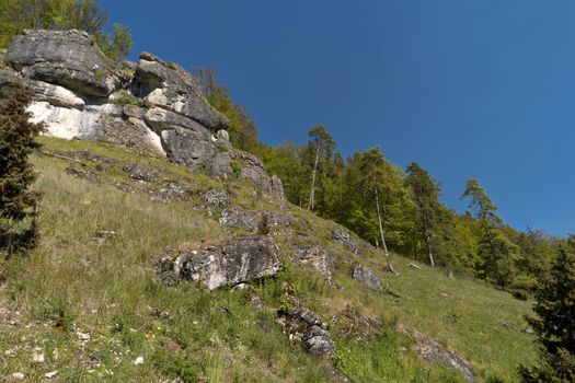 On the Altmuehltal Panorama Trail in Germany