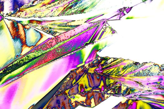 Microcrystals of tartaric acid in polarized light