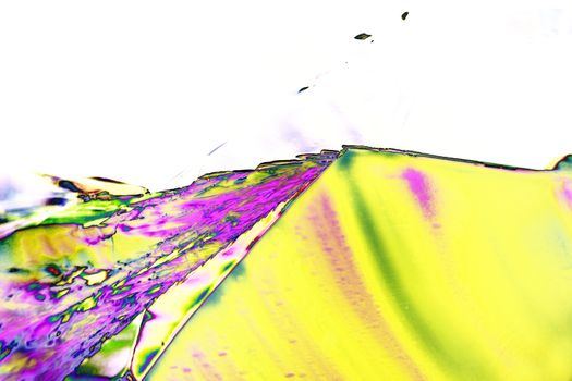 Microcrystals of tartaric acid in polarized light