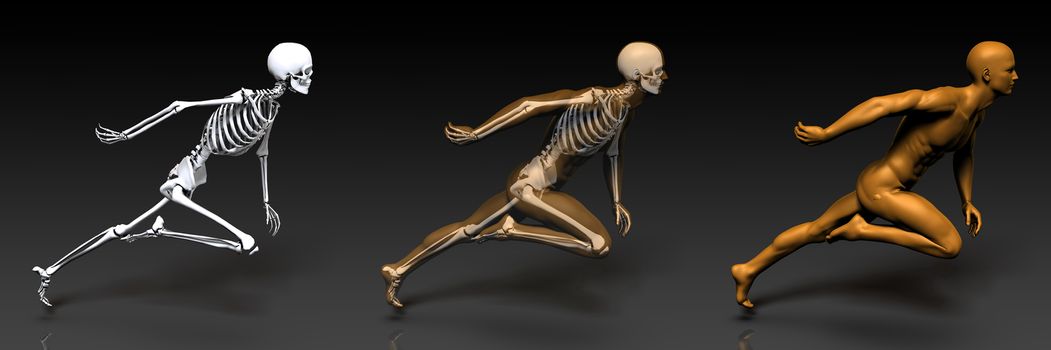 3D Concept of Human Male Body and Skeleton Art