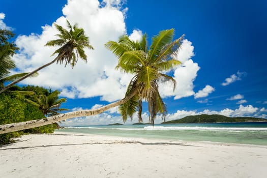 Beautiful view of a tropical beach in La Digue, Seychelles