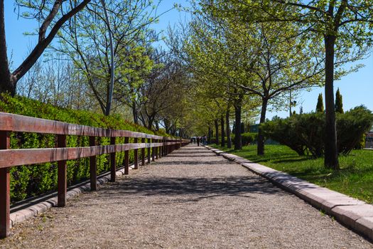 View of pathway in a natural park with green trees around, on bright blue sky background.