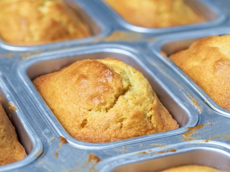 close up of rustic southern american corn bread