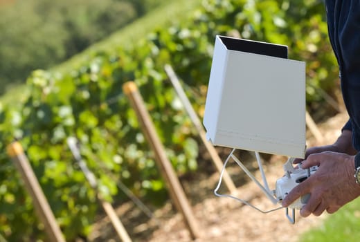 Drone with camera flying against sky in vineyard