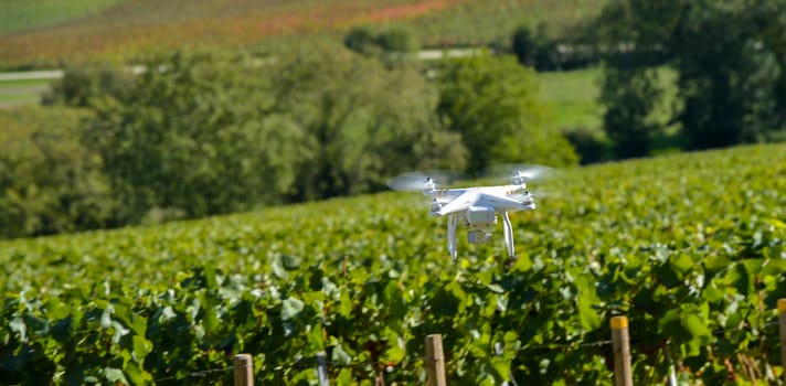 Flying utility drone over wineyard Champagne France