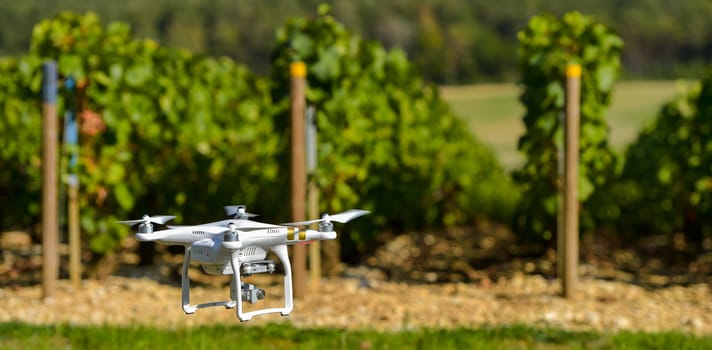Flying utility drone over wineyard Champagne France