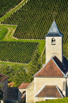 Champagne vineyards in the Cote des Bar area of the Aube department near to Viviers sur Artaut, Champagne-Ardennes, France, Europe