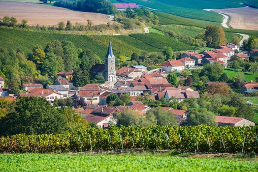 Champagne vineyards in the Cote des Bar area of the Aube department near Rizaucourt-Buchey, Champagne-Ardennes, France, Europe