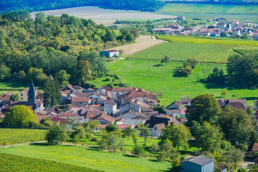 Champagne vineyards in the Cote des Bar area of the Aube department near to Colombe la Fosse, Champagne-Ardennes, France, Europe