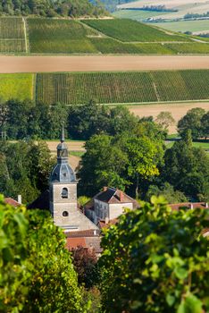 Champagne vineyards in the Cote des Bar area of the Aube department near to Arrentieres, Champagne-Ardennes, France, Europe