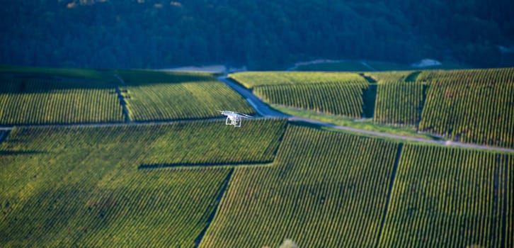 Flying utility drone over wineyard Champagne France