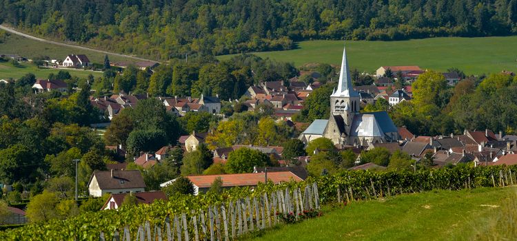 Champagne vineyards in the Cote des Bar area of the Aube department near to Les Riceys, Champagne-Ardennes, France, Europe