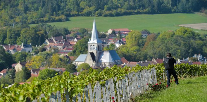 Champagne vineyards in the Cote des Bar area of the Aube department near to Les Riceys, Champagne-Ardennes, France, Europe