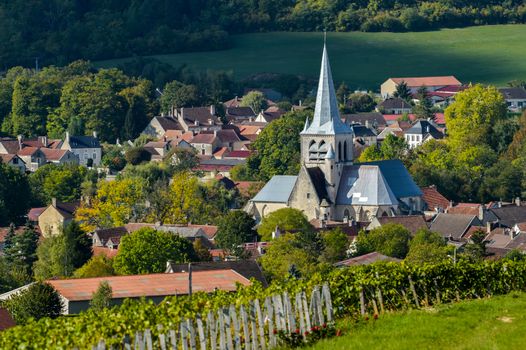 Champagne vineyards in the Cote des Bar area of the Aube department near to Les Riceys, Champagne-Ardennes, France, Europe