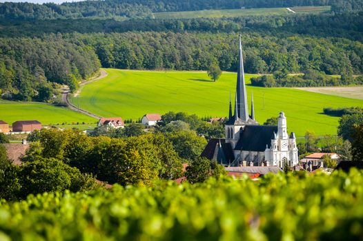 Champagne vineyards in the Cote des Bar area of the Aube department near to Les Riceys, Champagne-Ardennes, France, Europe