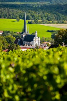 Champagne vineyards in the Cote des Bar area of the Aube department near to Les Riceys, Champagne-Ardennes, France, Europe