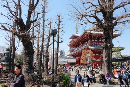 TOKYO, JAPAN - MARCH 29, 2016 :Tourist visit sensoji temple in Tokyo on 29 March 2016. Sensoji temple is the most famous attraction in Asakusa, Tokyo, Japan