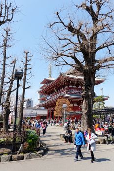 TOKYO, JAPAN - MARCH 29, 2016 :Tourist visit sensoji temple in Tokyo on 29 March 2016. Sensoji temple is the most famous attraction in Asakusa, Tokyo, Japan