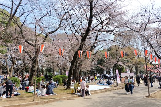 TOKYO, JAPAN - MARCH 29, 2016: Ueno Park during the cherry blossom season on 29 March 2016. Ueno Park is one of Tokyo's most popular and lively cherry blossom spots with more than 1000 cherry trees.