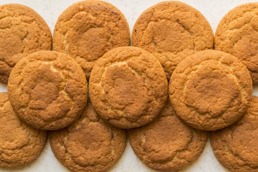 fresh oatmeal delicious round cookies close-up big group