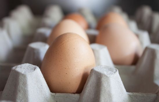 Closeup egg tray with 5 eggs.