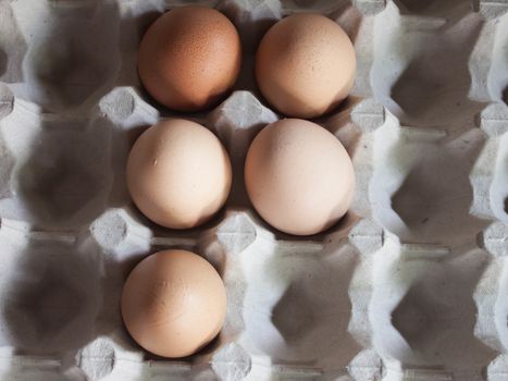 Closeup egg tray with 5 eggs.