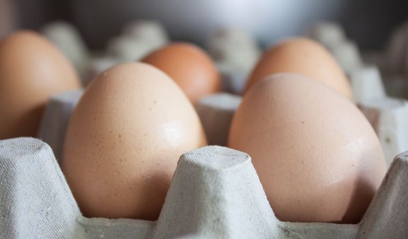 Closeup egg tray with 5 eggs.