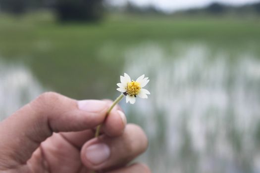 Grant Flower in hand river  background