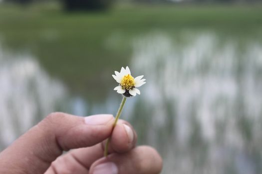 Grant Flower in hand river  background