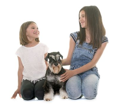 children and miniature schnauzer in studio