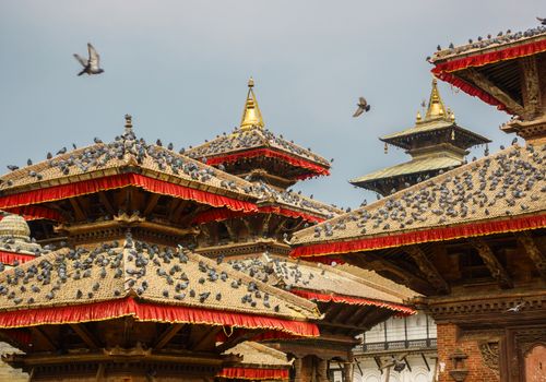 Pigeons on temple roofs at Kathmandu Durbar Square in Nepal.