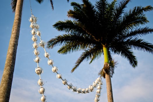 Palm trees with hanged decoration