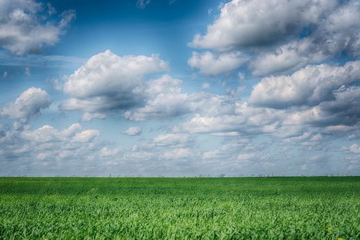 Summer landscape with green grass and blue dramatic sky. HDR photo