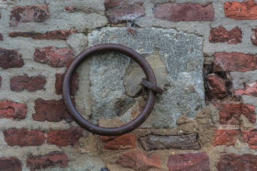 Iron ring on a wall, used earlier fasten the horses.