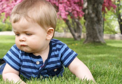 An infant boy learns to explore on the grass outside.