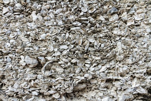 A wall made of coquina, the hard deposit of compacted shells