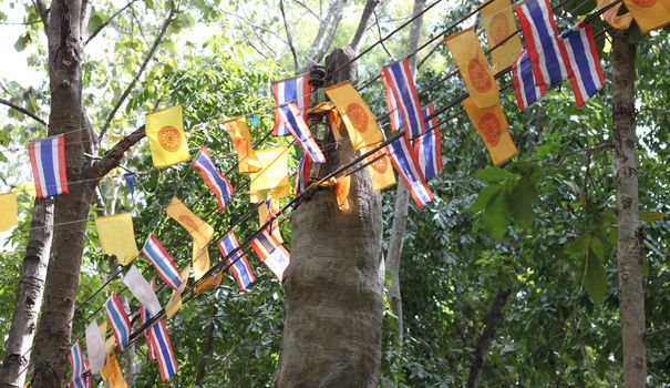 Thailand Buddhist flag In ceremony